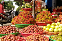 Mận hậu được nhiều khách ưa chuộng. Ảnh:Thi Hà.