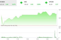 Phiên chiều 4/11: Sắc đỏ chiếm ưu thế, VN-Index vẫn vững vàng tiến bước