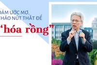 TS. Nguyễn Sĩ Dũng: Dám ước mơ, tháo nút thắt để "hóa rồng"