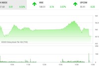 Phiên chiều 12/2: Nhiều cổ phiếu nổi sóng, VN-Index hãm đà tăng