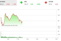 Phiên sáng 26/2: Giảm hơn 10 điểm, VN-Index mất mốc 900 điểm