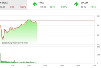 Giao dịch chứng khoán sáng 13/5: Mạnh tay gom hàng giá thấp