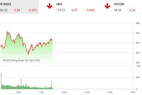 Giao dịch chứng khoán sáng 9/9: Lực cầu bắt đáy hãm đà rơi thị trường 
