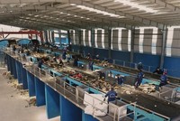 Thêm một sếp lớn của Biwase (BWE) đăng ký mua 500.000 cổ phiếu