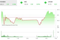 Giao dịch chứng khoán chiều 30/9: Xuất hiện nhiều điểm nóng, VN-Index lấy lại sắc xanh