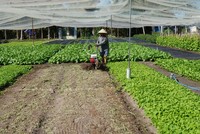 Tránh can thiệp vào phương án sản xuất - kinh doanh và nhân sự của hợp tác xã