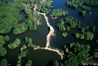 Sau 20 năm, Việt Nam có 9 khu dự trữ sinh quyển