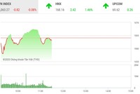 Giao dịch chứng khoán sáng 15/12: Dòng tiền dịch chuyển sang nhóm cổ phiếu vừa và nhỏ