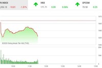 Giao dịch chứng khoán sáng 17/12: VN-Index điều chỉnh, nhiều cổ phiếu vẫn nổi sóng