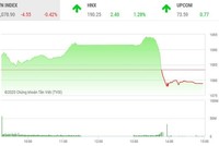 Giao dịch chứng khoán chiều 23/12: VN-Index rơi thẳng đứng và căn bệnh mãn tính 