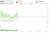 Giao dịch chứng khoán sáng 31/12: TDH bị bán tháo, VN-Index gặp khó với ngưỡng 1.100 điểm