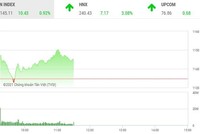 Phiên giao dịch chứng khoán sáng 21/1: Trở lại đường đua