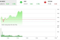 Giao dịch chứng khoán phiên sáng 2/2: Tiền rút khỏi nhóm penny trở lại bluechip