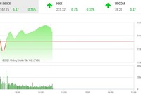 Giao dịch chứng khoán phiên sáng 18/2: Nhóm cổ phiếu dầu khí và bất động sản hút dòng tiền