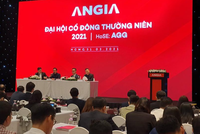 ĐHCĐ Bất động sản An Gia (AGG): Tăng vốn để mua quỹ đất 30 - 50 ha ở Bình Dương