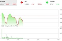 Giao dịch chứng khoán phiên sáng 10/6: Hệ thống của HOSE đã mượt hơn, VN-Index tìm được điểm tựa