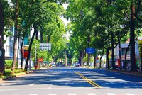 Sài Gòn vắng lặng mùa dịch. Ảnh: Lê Toàn.