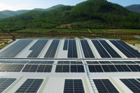 SP Group liên doanh với BCG Energy đầu tư điện mặt trời tại Việt Nam