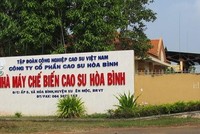 Cao su Hoà Bình (HRC) đặt mục tiêu lợi nhuận trước thuế đạt 525 triệu đồng trong quý II 