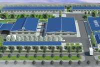 Công ty cổ phần Đầu tư và Phát triển TDT thông báo chào bán cổ phiếu ra công chúng