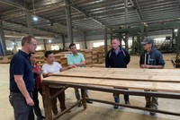 Cổ phiếu Sao Thái Dương (SJF) bị đình chỉ giao dịch từ ngày 13/11