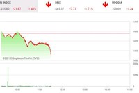 Giao dịch chứng khoán phiên sáng 23/12: Lực bán ồ ạt, VN-Index lao dốc