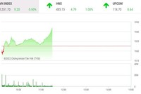 Giao dịch chứng khoán phiên sáng 6/1: Nhóm FLC duy trì sức nóng, VN-Index tăng hơn 9 điểm