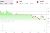 Phiên giao dịch chứng khoán chiều 13/1: Nhà đầu tư tháo chạy, hơn 120 mã giảm sàn