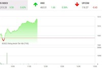 Phiên giao dịch sáng 23/3: Điểm nóng HQC, VN-Index tiếp tục bứt phá