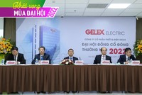 ĐHCĐ Gelex Electric (GEE): Kế hoạch cổ tức 40% và sẽ niêm yết cổ phiếu trên sàn HOSE
