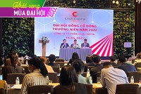 Louis Capital (TGG): tăng trưởng mạnh mẽ và M&A năng động 