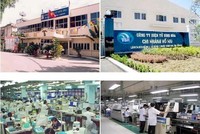 ĐHĐCĐ Điện tử Bình Hòa (VBH): Cổ đông chất vấn đề thu hồi công nợ, không chia cổ tức