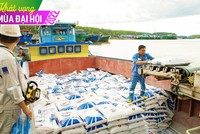 Lợi thế từ thị trường, Phân bón Cà Mau (DCM) vượt chỉ tiêu kế hoạch quý I