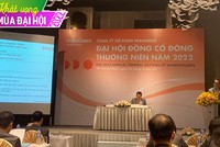 ĐHCĐ Transimex (TMS): Tiến hành thoái vốn tại Công ty liên doanh TNHH Nippon Express (Việt Nam)