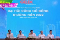 ĐHCĐ Gelex: Tăng trưởng 2 con số, IPO và niêm yết 2 công ty con