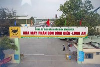 Phân bón Bình Điền (BFC) trả cổ tức tiền mặt tỷ lệ 15%