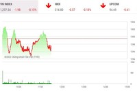Giao dịch chứng khoán phiên sáng 2/6: Ngân hàng níu chân VN-Index