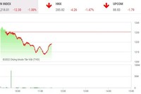 Giao dịch chứng khoán sáng 15/6: Cổ phiếu thép chưa nở đã tàn, VN-Index trở lại đà giảm