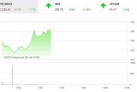 Giao dịch chứng khoán phiên sáng 16/6: Thị trường khởi sắc trở lại khi nhận trợ lực từ bên ngoài