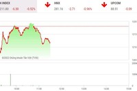 Giao dịch chứng khoán phiên sáng 29/6: Chóng mặt với ITA, thị trường quay đầu giảm