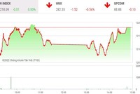 Giao dịch chứng khoán phiên chiều 29/6: FLC trần 6 phiên liên tiếp, VN-Index thoát hiểm 