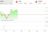 Giao dịch chứng khoán phiên sáng 7/7: Trở lại sau phiên thủng đáy