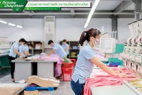 May Sông Hồng nỗ lực tiết giảm chi phí, tạm dừng các dự án đầu tư để duy trì biên lợi nhuận trong bối cảnh đầu ra kém thuận lợi .