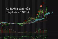 Lợi nhuận đầu tư cao theo phương pháp SEPA của Mark Minervini