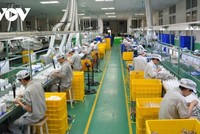 Nhà nước cần có chính sách khuyến khích, đảm bảo thực thi để xuất khẩu chuyển mạnh tăng về chất lượng trong thời gian tới.