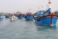 Nhằm gỡ “Thẻ vàng” khai thác thuỷ sản, Chính phủ duyệt Đề án Phòng, chống khai thác hải sản bất hợp pháp