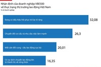 Thị trường lao động Việt Nam: Góc nhìn từ các doanh nghiệp VBE500