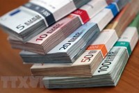 Đồng euro tại một ngân hàng ở Heidelberg, Đức. (Ảnh: AFP/TTXVN)