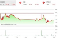 Giao dịch chứng khoán chiều 2/11: Sức ép gia tăng, VN-Index quay đầu giảm điểm