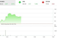 Phiên giao dịch chứng khoán sáng 9/11: "Đại chiến” tại DIG, VN-Index tiếp đà hồi phục